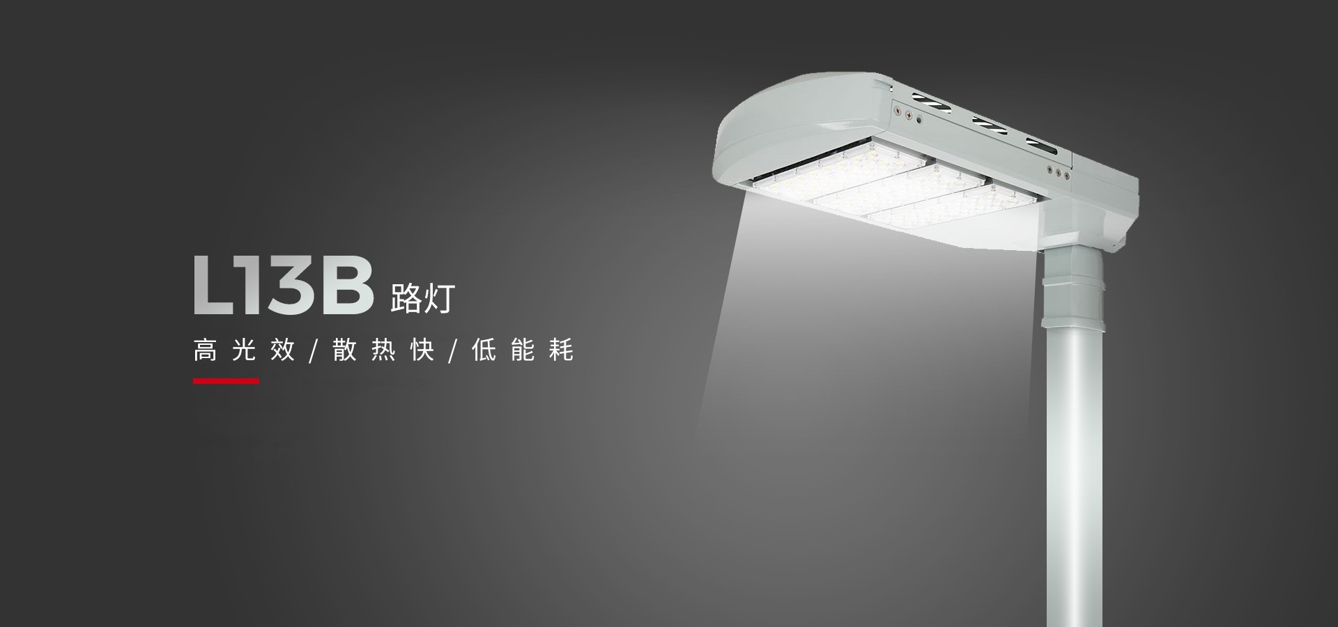 立洋光電 I 節能之光LED路燈L13B 點亮低碳新視界！